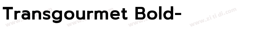 Transgourmet Bold字体转换